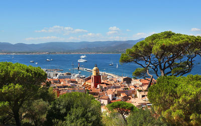 Aerial view of saint tropez harbor and clock tower with trees