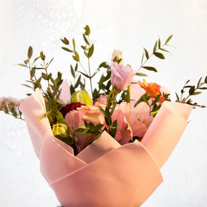 Close-up of hand holding flowering plant