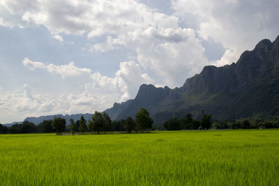 Scenic view of field against sky