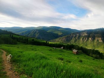 Scenic view of field and mountains against sky