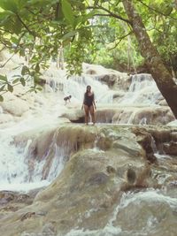 Waterfall in forest