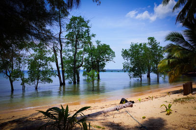 Scenic view of beach against cloudy sky