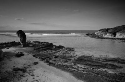 Rear view of woman looking at sea shore against sky