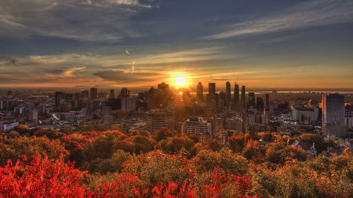 High angle view of trees and buildings against sky during sunset