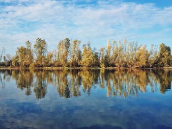 Reflection of trees in lake