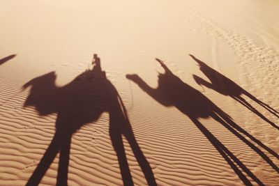 High angle view of shadow on sand