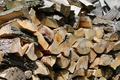 Full frame shot of logs in forest