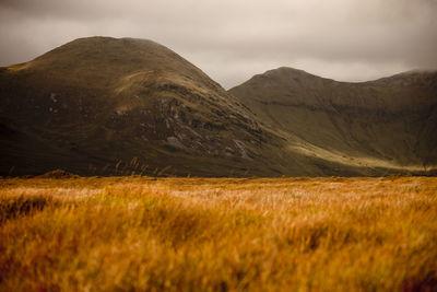 Scenic view of landscape and mountains against sky