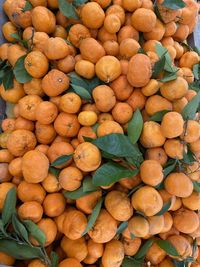 High angle view of fruits for sale at market stall