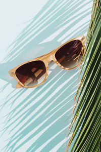 Close-up of palm leaf with sunglasses on table