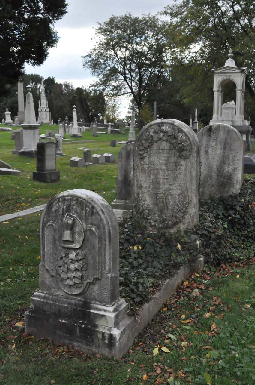 CEMETERY AGAINST SKY