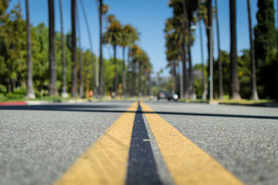 Surface level of road amidst trees against sky