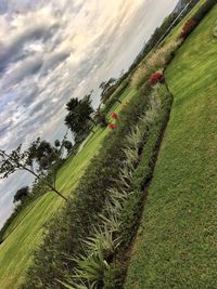 Scenic view of agricultural field against sky