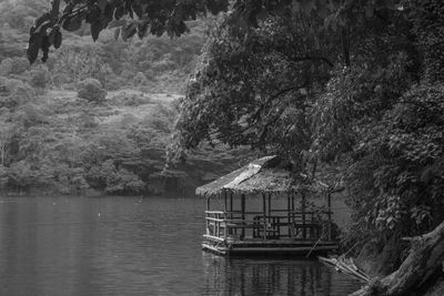 Gazebo on lake by trees