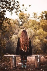 Rear view of woman standing by trees in forest