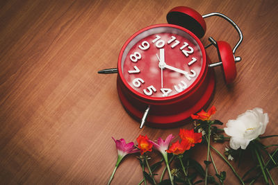 High angle view of red flowers on table