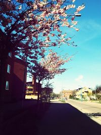 Road along buildings