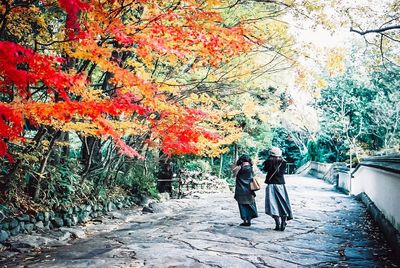 People walking on footpath during autumn