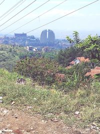 View of railroad tracks on field against sky