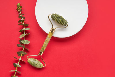 High angle view of fresh vegetables on table against red background