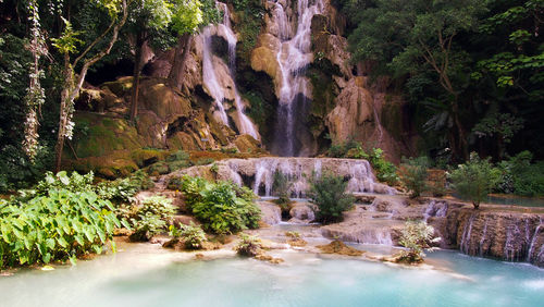 View of waterfall in forest