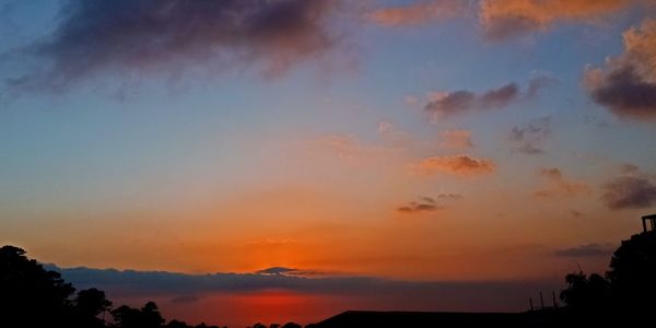 Low angle view of silhouette trees against sky at sunset