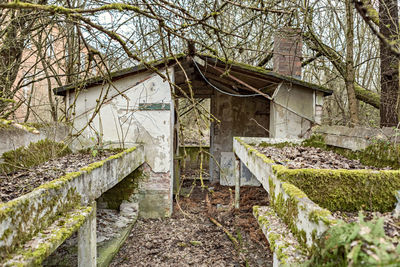 Abandoned house