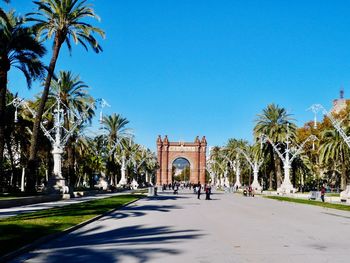 View of palm trees against blue sky