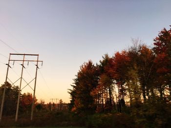 Trees on landscape against clear sky during sunset