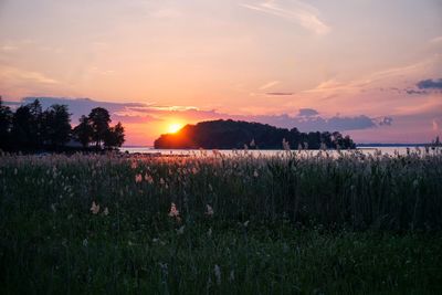 Scenic view of field against sky during sunset