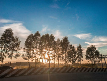 Silhouette trees by road against sky during sunset