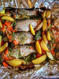 High angle view of fish in container