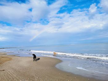 Dogs on beach against sky