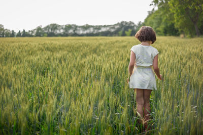 Back view of girl with short hair in striped dress standing in wheat field