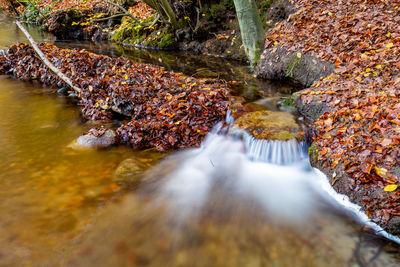 River flowing amidst rocks
