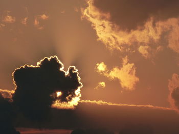 Low angle view of silhouette plant against sky during sunset