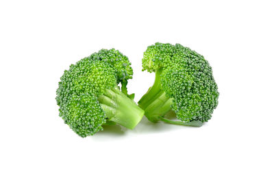 High angle view of green leaf against white background