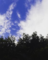 Low angle view of trees against sky