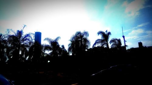 Silhouette trees against blue sky