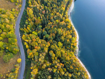 Idyllic road by the lake in autumn