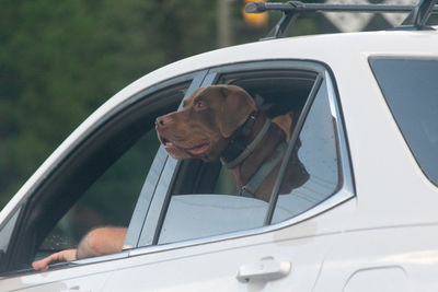 Reflection of man on car window