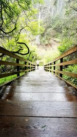 Footbridge in forest