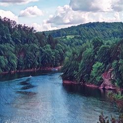 Scenic view of river amidst trees against sky