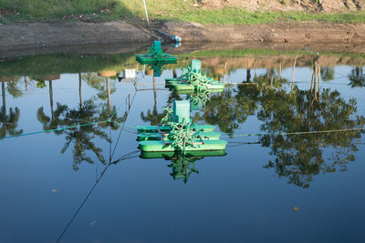Reflection of tree in lake