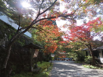 Road amidst trees and buildings against sky during autumn