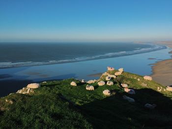 Scenic view of sea against clear blue sky