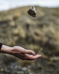 Close-up of hand catching rock