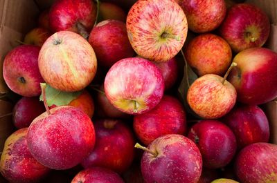 Full frame shot of apples at market