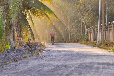 Rear view of a man walking on road