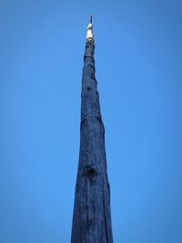 Low angle view of tree against blue sky